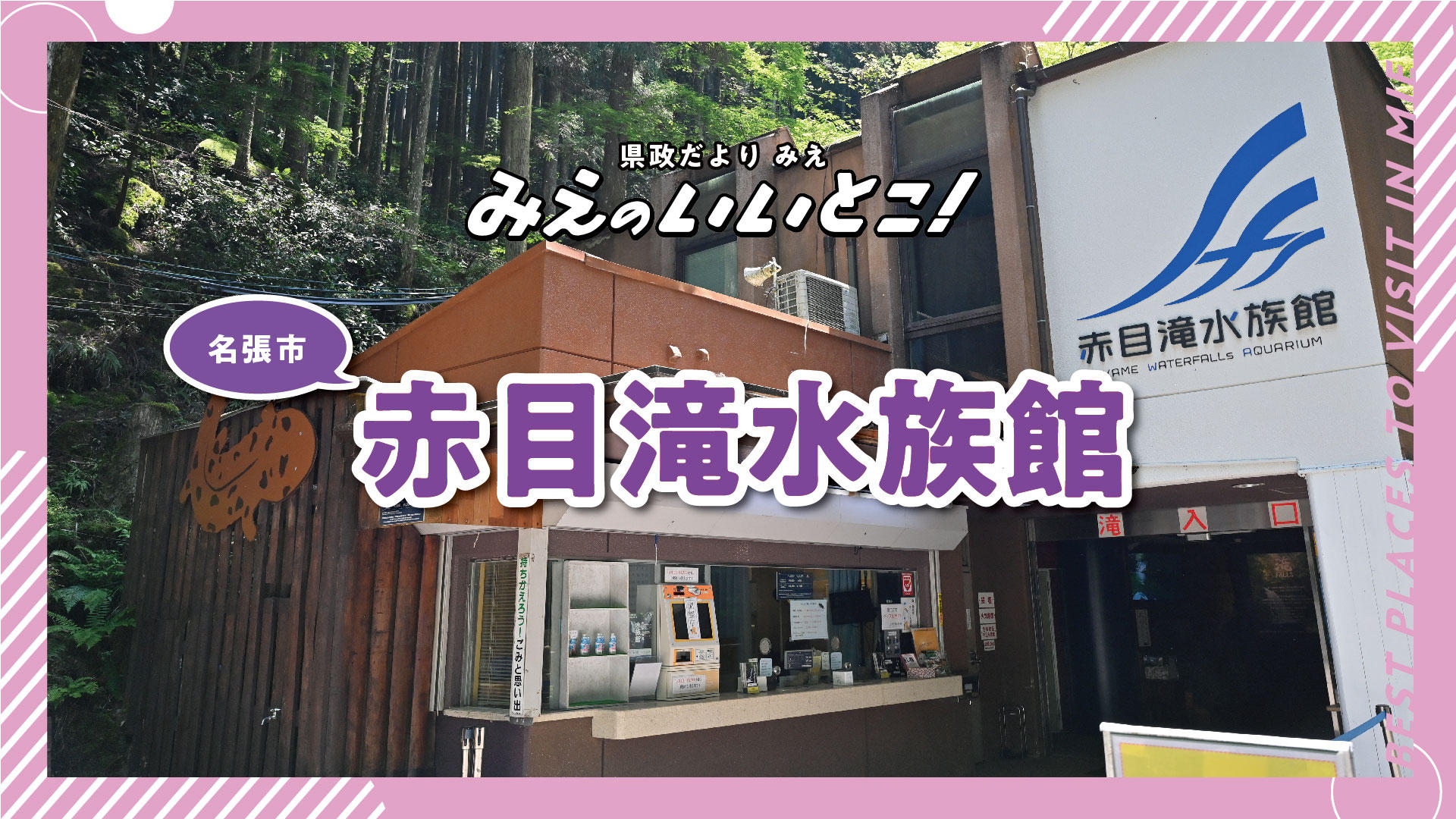 thumbnail.jpg