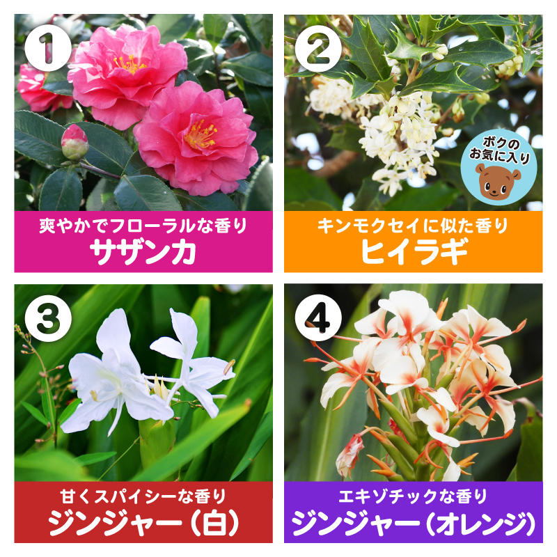 G2n2Zr7a8AAu80L のコピー.jpg